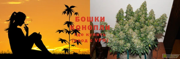 ГАЛЛЮЦИНОГЕННЫЕ ГРИБЫ Карпинск